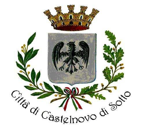 Comune di Castelnovo di Sotto Proposta per il Consiglio Comunale PARERE DI REGOLARITA' CONTABILE PROPOSTA DI EMENDAMENTO PROT. N.1820 DEL 27.4.