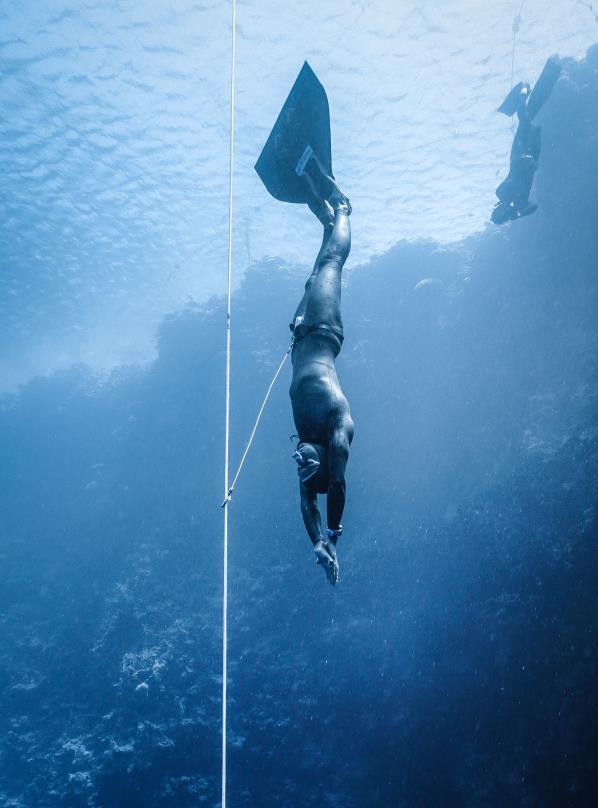 APNEA A CABO SAN LUCAS La possibilità di praticare liberamente l apnea in tutte le attività diving previste nel programma di viaggio e immergersi in totale autonomia a