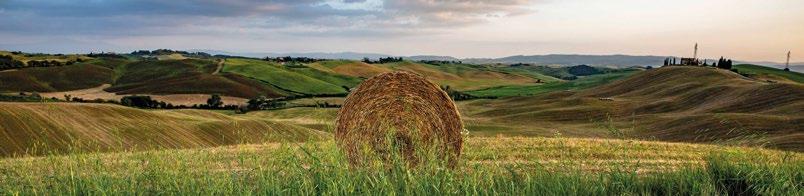 che sul genuino rispetto per il territorio.