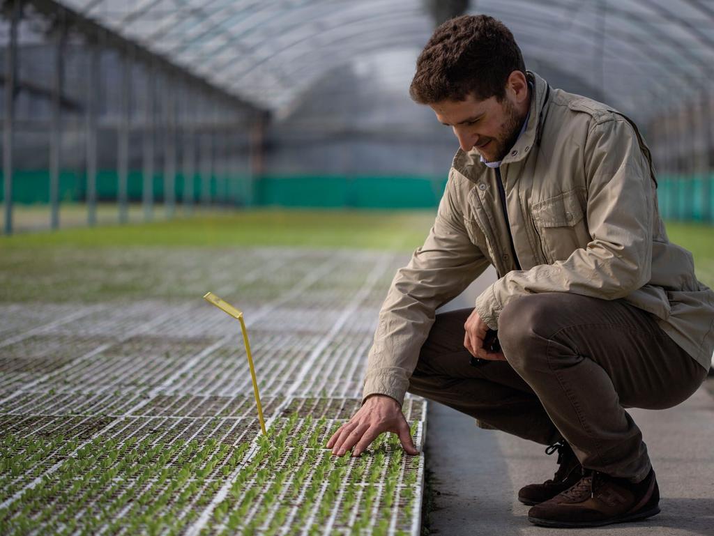 I produttori agricoli italiani