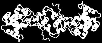 Secreted Protein Acidic and Rich in Cysteine (SPARC) [osteonectin]