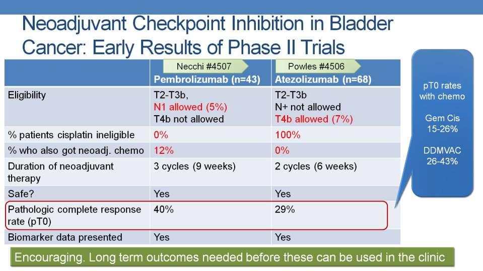 NEOADJUVANT CHECKPOINT INHIBITION IN BLADDER CANCER: EARLY RESULTS OF