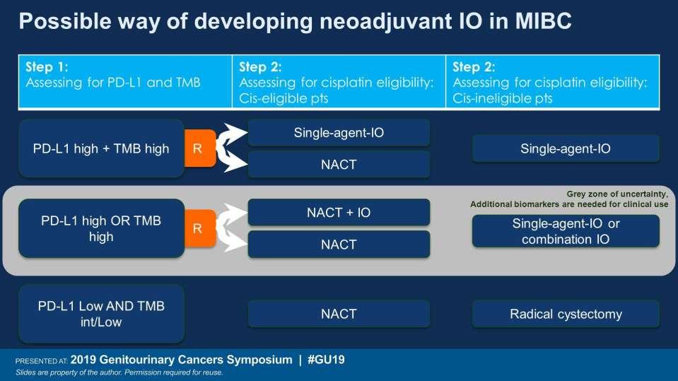 Presented By Andrea Necchi at 2019