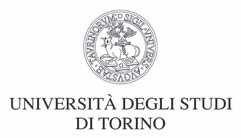 CONVENZIONE DI TIROCINIO PROFESSIONALIZZANTE TRA Il Dipartimento di Psicologia dell Università degli Studi di Torino, con sede in Torino, via Verdi 10, cap 10124, CF 80088230018, d'ora in poi