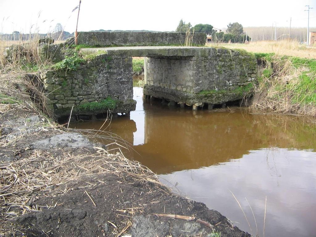 Canale di bonifica nel sottobacino di Massaciuccoli