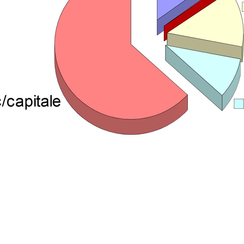 GLI INVESTIMENTI PER MACROAGGREGATO codice Macroaggregati (bilancio armonizzato) Importo % sul totale 20201 Beni materiali 31.571.742,16 15,08% 20203 Beni immateriali 902.