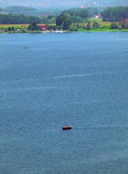 Per il Lago di Mergozzo i campioni prelevati ed esaminati sono stati in totale 70, di cui 60 di routine e 10 suppletivi. I prelievi suppletivi hanno interessato solo una zona di balneazione.