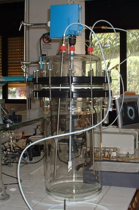 Valutazione delle emissioni Test emission chamber (ISO 16000-9) La Camera Sperimentale è costituita da: -Reattore in vetro del volume di 50 litri -Sistema di