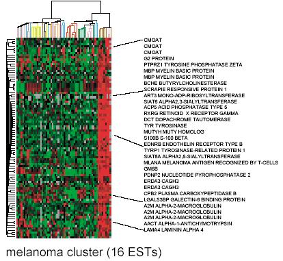 ,1,1,1,1,1,1 Abbiamo bisogno di un test globale con una probabilità complessiva di errore