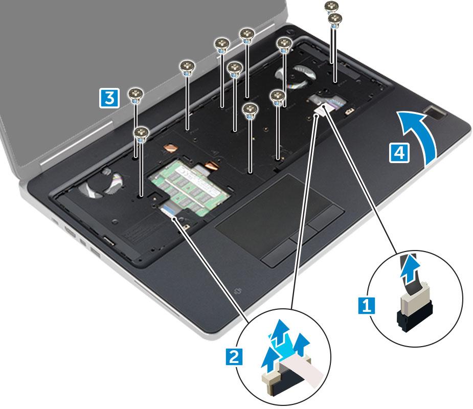 b Rimuovere le 11 viti (M2,5 x 5, M2 x 3) che fissano il poggiapolsi al computer [3].