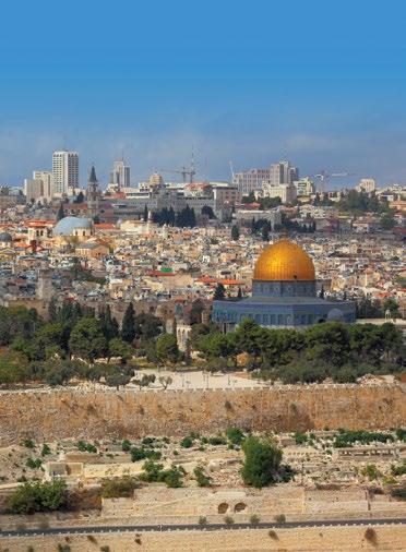 ISRAEL EXPRESS 11 KING EXPERIENCE 5 buoni motivi per scegliere questo viaggio. Un breve itinerario che vi permetterà di visitare i luoghi più importanti della storia d Israele.