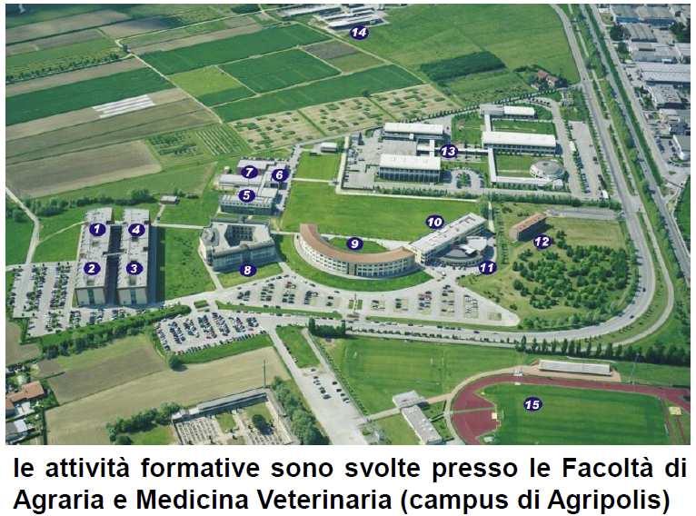 Agripolis Il corso si svolge presso le strutture del Campus di