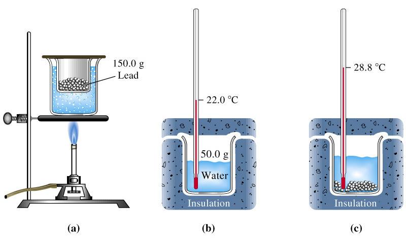 I calori specifici calore ceduto = calore acquistato -q piombo = +q acqua Applichiamo: q = m c s T m, massa del campione c s, calore specifico del materiale c s dell acqua 4,18 J g -1 C -1 q acqua =