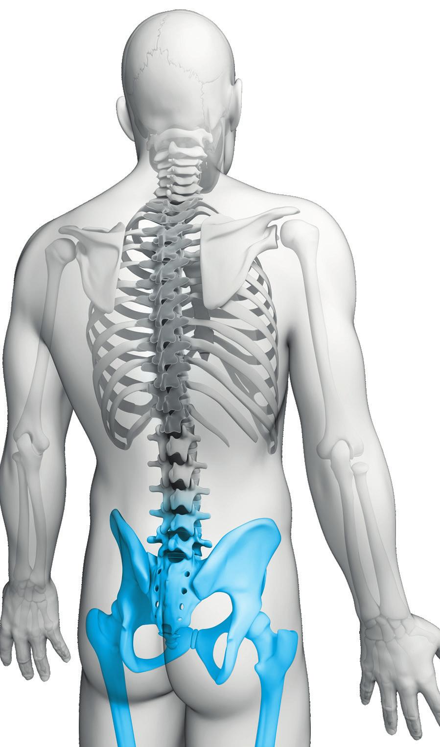 medicad Hip 3D Il potente strumento per la chirurgia dell anca del domani medicad Hip 3D offre al chirurgo possibilità del tutto nuove per eseguire valutazioni anatomiche, pianificazioni e