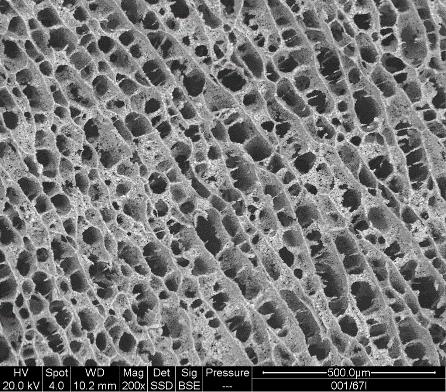 I prodotti ottenuti con GLYMATRIX sono quindi sicuri ed efficaci, e con caratteristiche equiparabili a quelle del collagene endogeno.