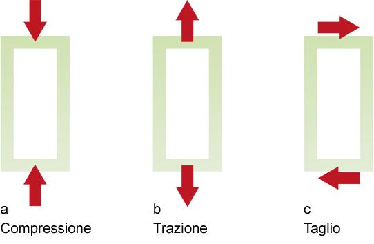 posizione Isotropia: un materiale si dice isotropo quando le sue proprietà non dipendono dalla direzione Anisotropia: viceversa un materiale si dice anisotropo quando le sue proprietà variano in
