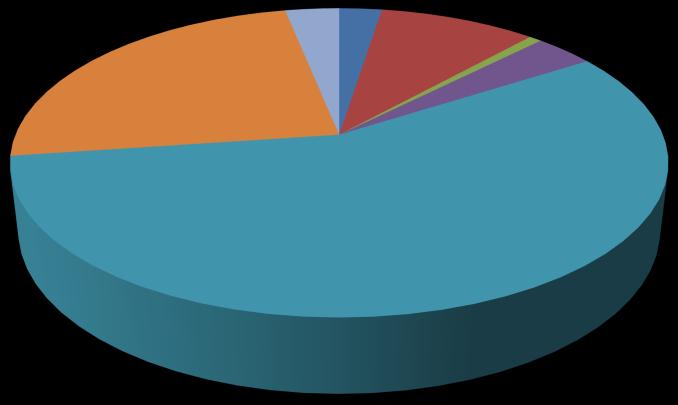 Ripartizione delle entrate turistiche del Veneto per provincia 2013 2018 24,0 3,2 2,5 9,2 0,7 3,5 19,3 2,8 2,9 6,0 0,6 3,0 Belluno Padova Rovigo Treviso 56,9 65,5 Venezia Verona