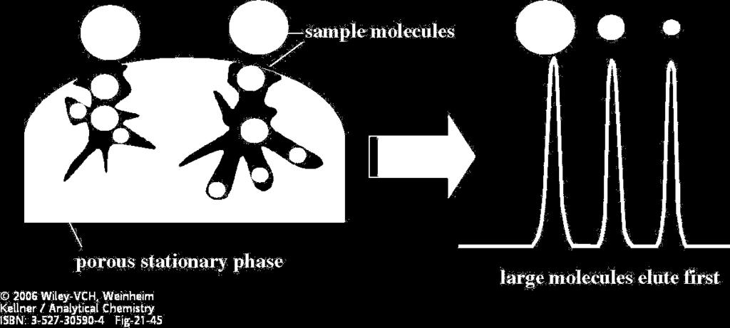 Cromatografia ad esclusione dimensionale Nella Cromatografia ad Esclusione Dimensionale (SEC Size Exclusion Chromatography) la separazione delle molecole si basa sulle loro diverse dimensioni.