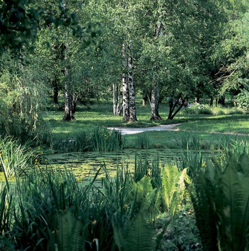 GIARDINO BOTANICO Il Giardino Botanico di Lubiana è attivo dal 1810 e rappresenta l'istituzione culturale,scentifica e educativa slovena più antica.