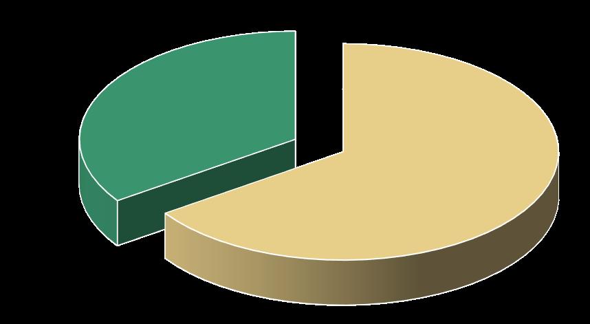 35% 0% 65% Privati Soc.