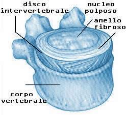 Il Disco