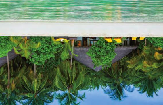 Resort ecosostenibile, l Angsana Ihuru propone sistemazioni dal tetto di paglia dotate di connessione WiFi, di un giardino privato con zona pranzo e area salotto, di una splendida vista sull oceano,