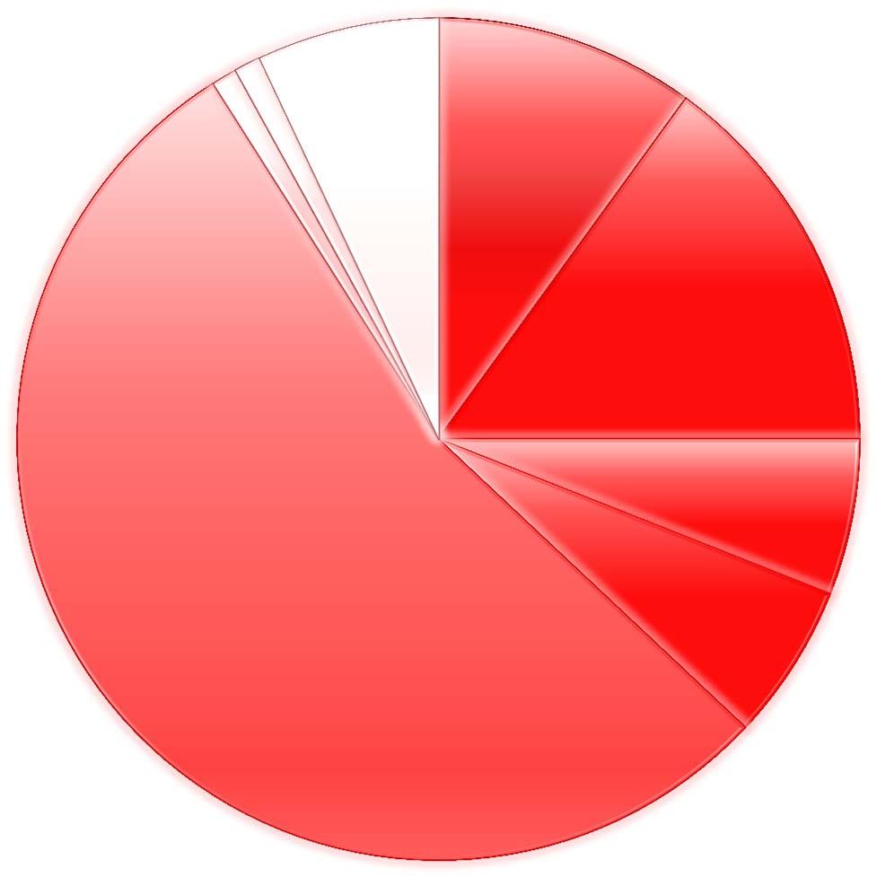 Internet 8% Periodici 8% Quotidiani 14% Tv 54% Direct mail 6% Radio 6% Tv 55% Direct mail 6% Radio 6% Fonte: