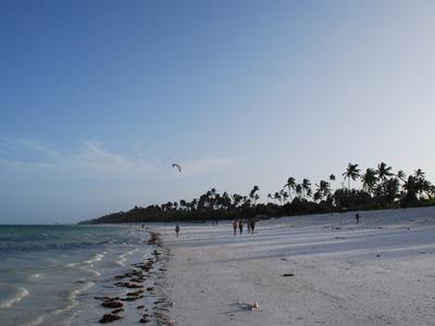 Oggi Zanzibar è conosciuta come una perla dell'oceano Indiano, famosa per la pesca e le immersioni.