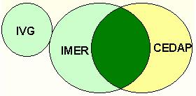 Integrazione dei flussi IMER-CEDAP Anno in esame 2002 IVG IMER IMER CEDAP CEDAP Malformati IVG 144 Malformati IMER