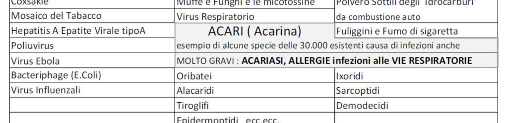 Se laviamo in lavatrice una maglietta l abbiamo