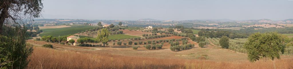 Cantina come radice che trasforma le diverse realtà dei terreni e delle loro uve in vino.