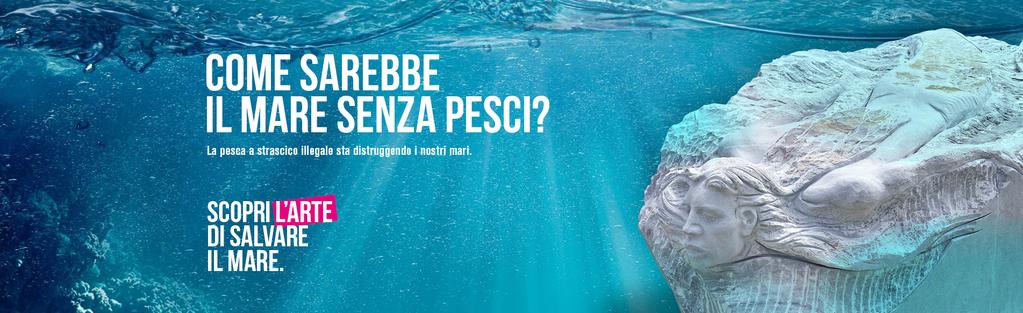 Come nasce la Casa dei Pesci? LA CASA DEI PESCI nasce per proteggere i fondali marini dalla pesca a strascico illegale.