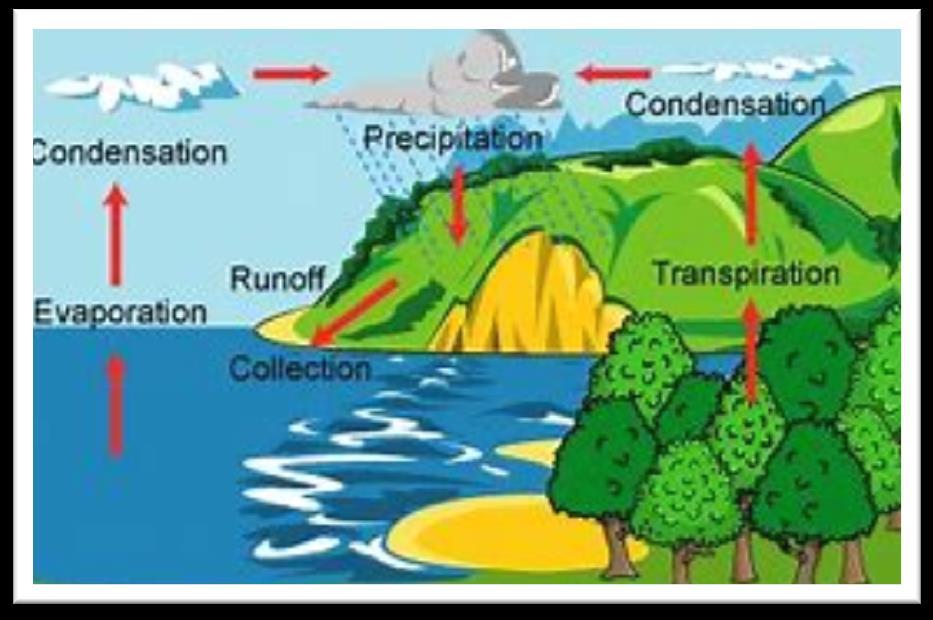 Water cycle keywords: Condensation