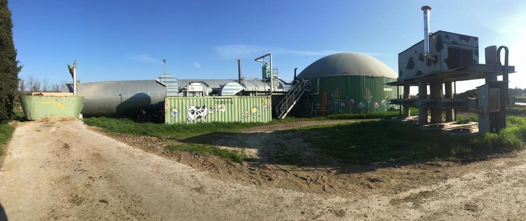 10 Impianto di biogas EISENMANN potenza 250 kwe Composizione della biomassa di alimentazione del digestore: Letame :4 ton/giorno Liquame: 9 m 3 /giorno Insilati:4-5 ton/giorno CONDIZIONI OPERATIVE
