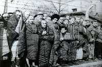 13. PERCHÈ GLI EBREI DI TUTTA L'EUROPA FURONO DEPORTATI IN CAMPI DI CONCENTRAMENTO COME DACHAU, AUSCHWITZ, TREBLINKA, MAUTHAUSEN? RISPONDI SCEGLIENDO TRA UNA DELLE TRE OPZIONI.