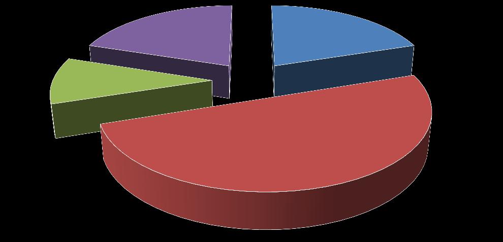 14% 18% 23% 45% Andare in