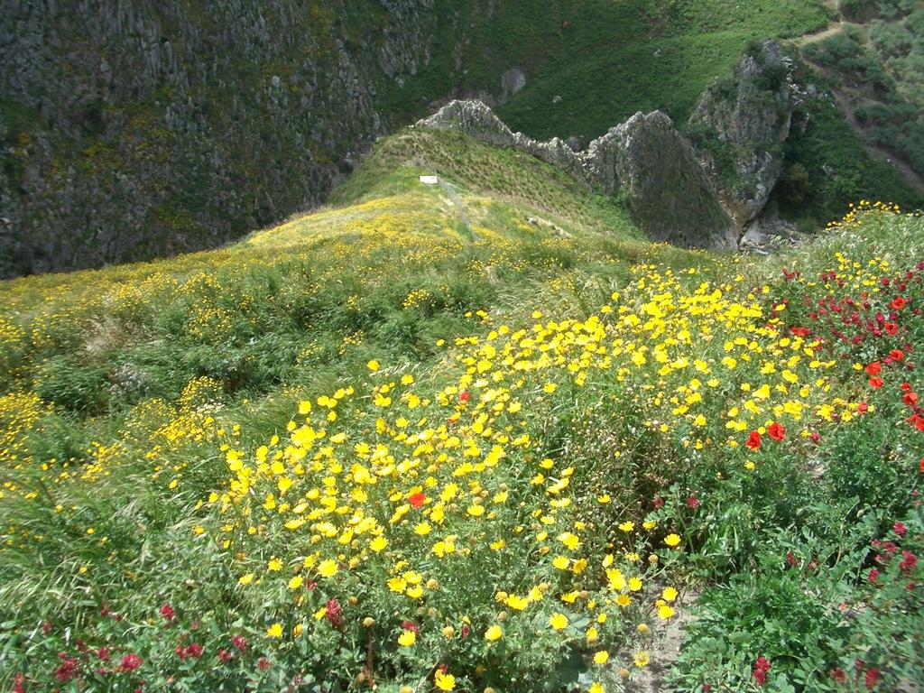 ARMATI PRATI IMPIANTO DI PRATI ARMATI SU UNA DISCARICA A PENDIO IN SICILIA www.