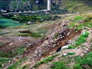 UNA SOLUZIONE SEMPLICE PER UN PROBLEMA COMPLESSO: PIANTE ERBACEE A RADICAZIONE PROFONDA PER LA MESSA IN SICUREZZA D EMERGENZA DELLE DISCARICHE A PENDIO RIFIUTI TERRENO IN SITU Schema di discarica a