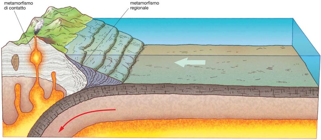 8. La formazione delle rocce metamorfiche Tipi di metamorfismo: regionale e di contatto Agisce la