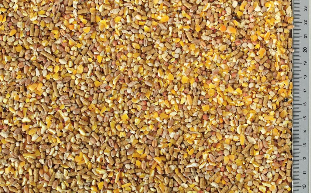 BeccoGiallo Becco Giallo della linea Nostrale Classic Polli, è un mangime composto da una miscela di cereali selezionati e piccoli pellet