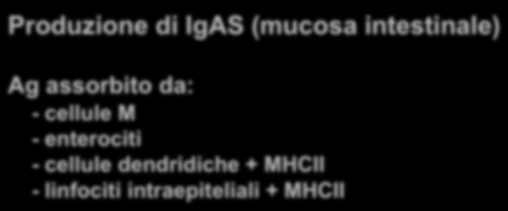 Produzione di IgAS (mucosa intestinale) F 59 Ag assorbito da: - cellule M - enterociti - cellule dendridiche