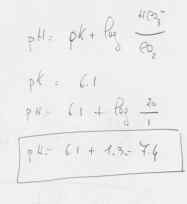 Nell'equazione di Henderson Hasselbach (vedi immagine) il rapporto base/acido è costante (20/1) e quindi dato che il pk = 6.1 il ph del liquido tubulare sarà 7,4 (come quello del sangue).