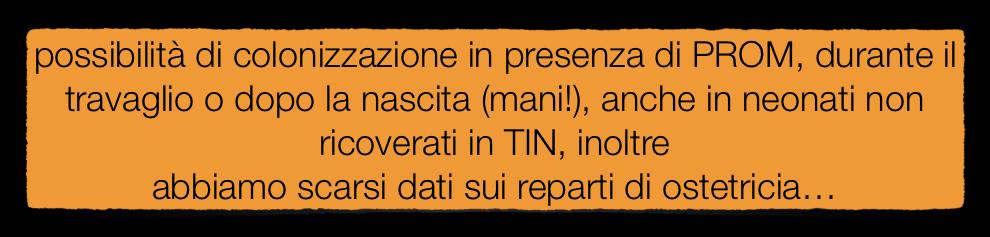 variazioni geografiche per quanto riguarda i ceppi e le carbapenemasi il rischio di morte risulta > 40% i fattori di rischio per