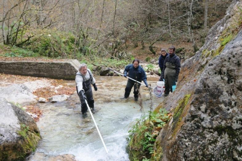 Azioni di progetto A2 Campionamenti ittici 2