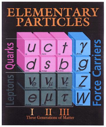 Spin e statistica quark e leptoni (= materia) hanno spin s = ½ e si chiamano fermioni fotoni, gluoni, e W, Z (= forze) hanno spin s = 1 e si chiamano bosoni Solo due particelle conosciute hanno spin