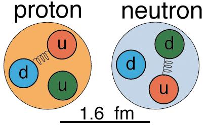 Protoni e neutroni I protoni e neutroni