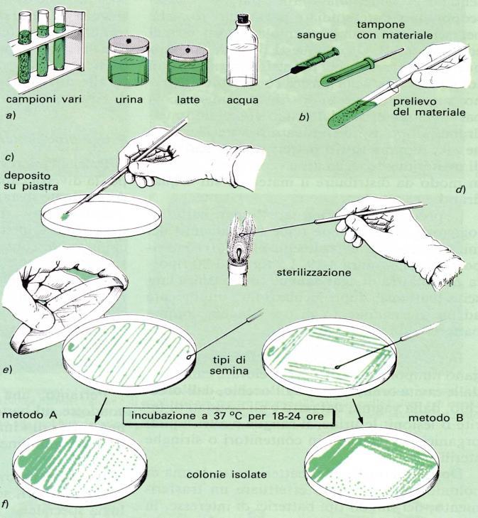 Tecniche