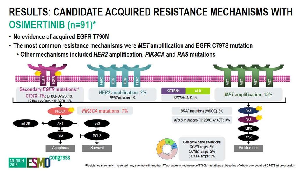 Osimertinib in I linea: mecc.