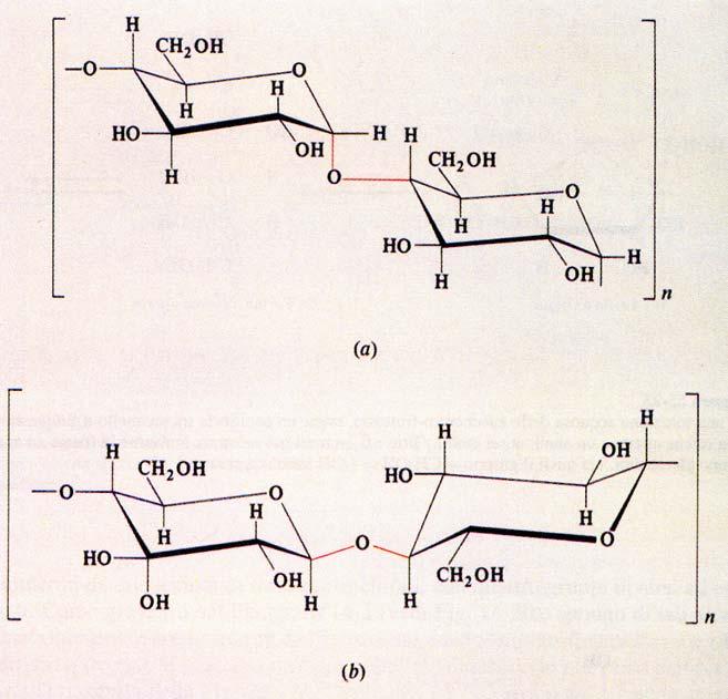 Importanza della giunzione: esempio amido - cellulosa 9 4Il glucosio è uno zucchero che nella sua forma ciclica assume la tipica conformazione a sedia degli anelli a sei atomi.