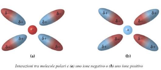 INTERAZIONI